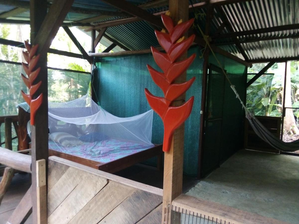 Corcovado Guide House Hotel Barrigones Exterior foto