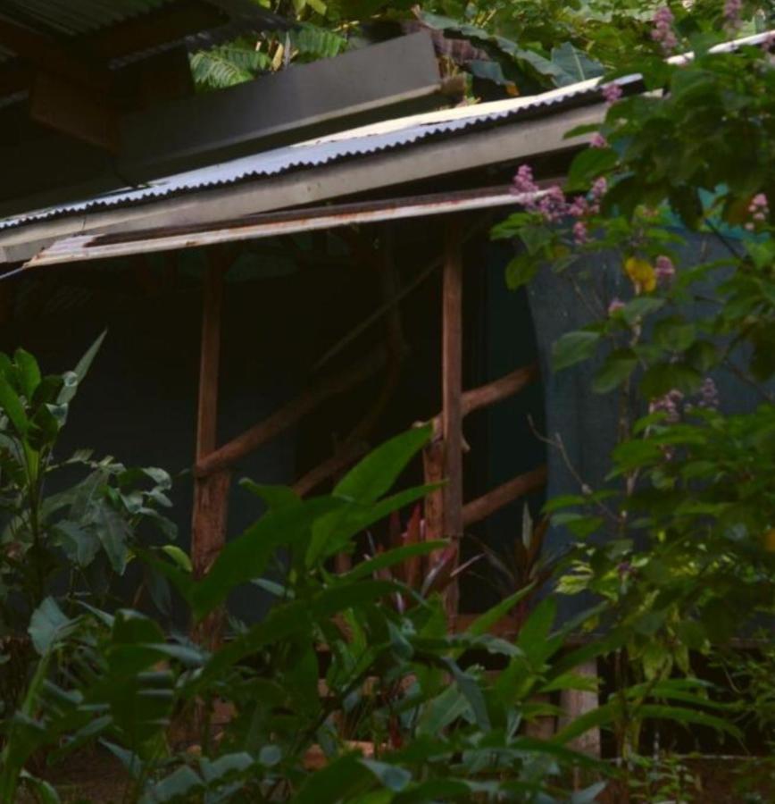 Corcovado Guide House Hotel Barrigones Exterior foto